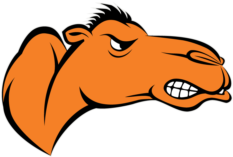 Campbell Fighting Camels 2005-Pres Partial Logo diy DTF decal sticker